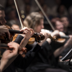 Los músicos deben cotizar en…